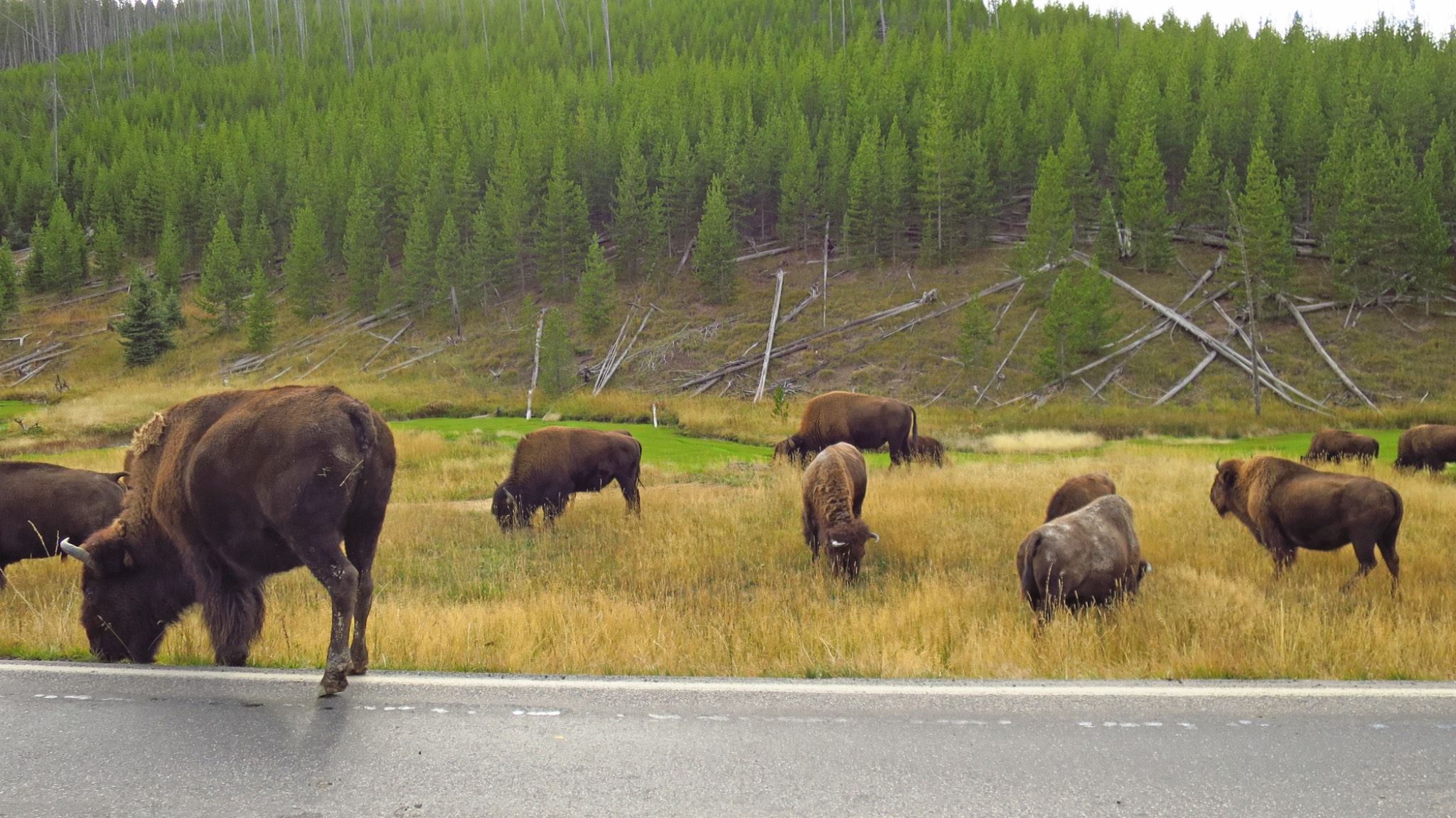 Yellowstone National Park